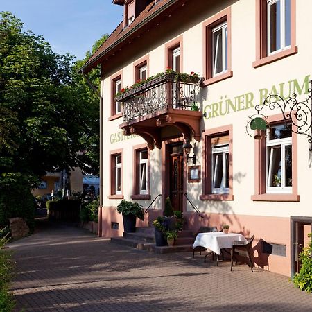 Hotel & Restaurant Gruener Baum Merzhausen エクステリア 写真