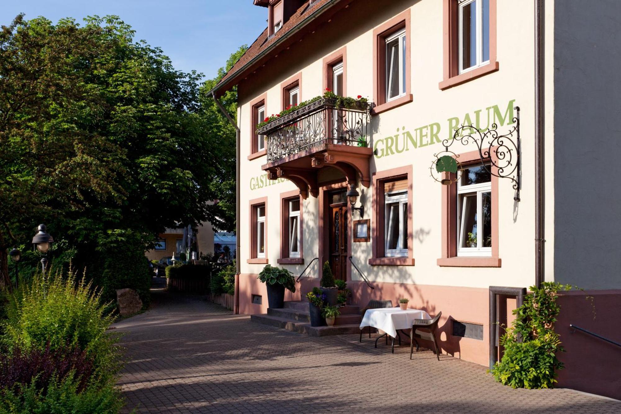 Hotel & Restaurant Gruener Baum Merzhausen エクステリア 写真