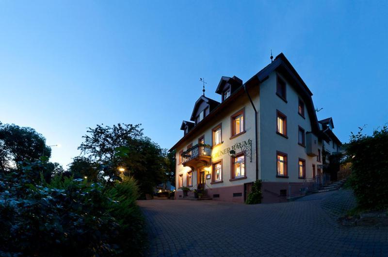 Hotel & Restaurant Gruener Baum Merzhausen エクステリア 写真