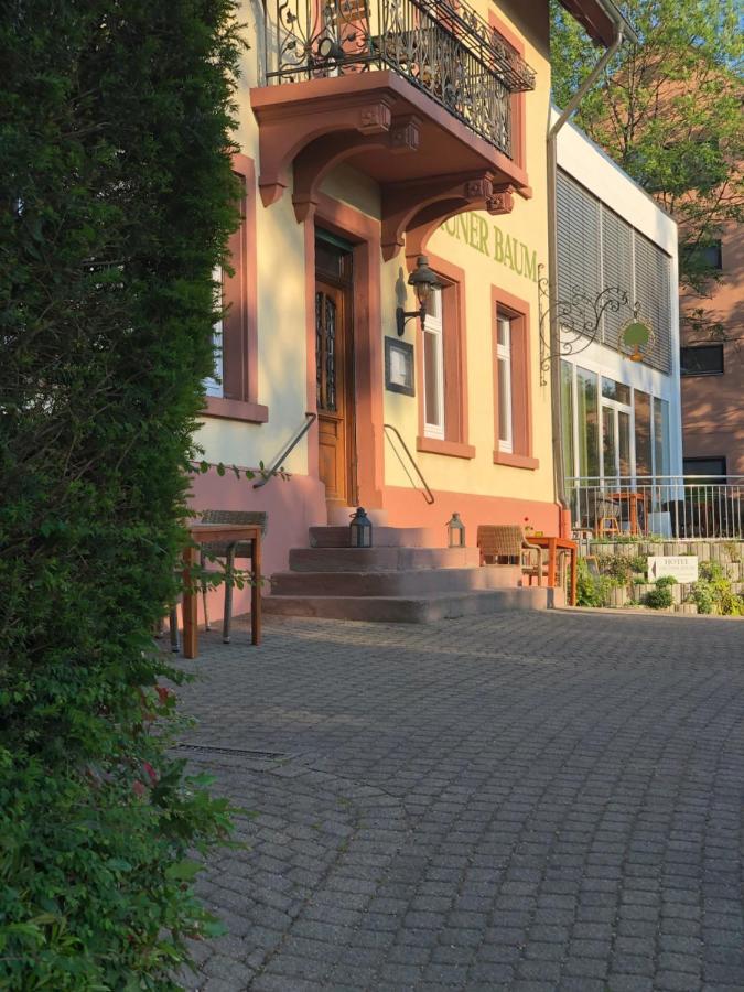 Hotel & Restaurant Gruener Baum Merzhausen エクステリア 写真