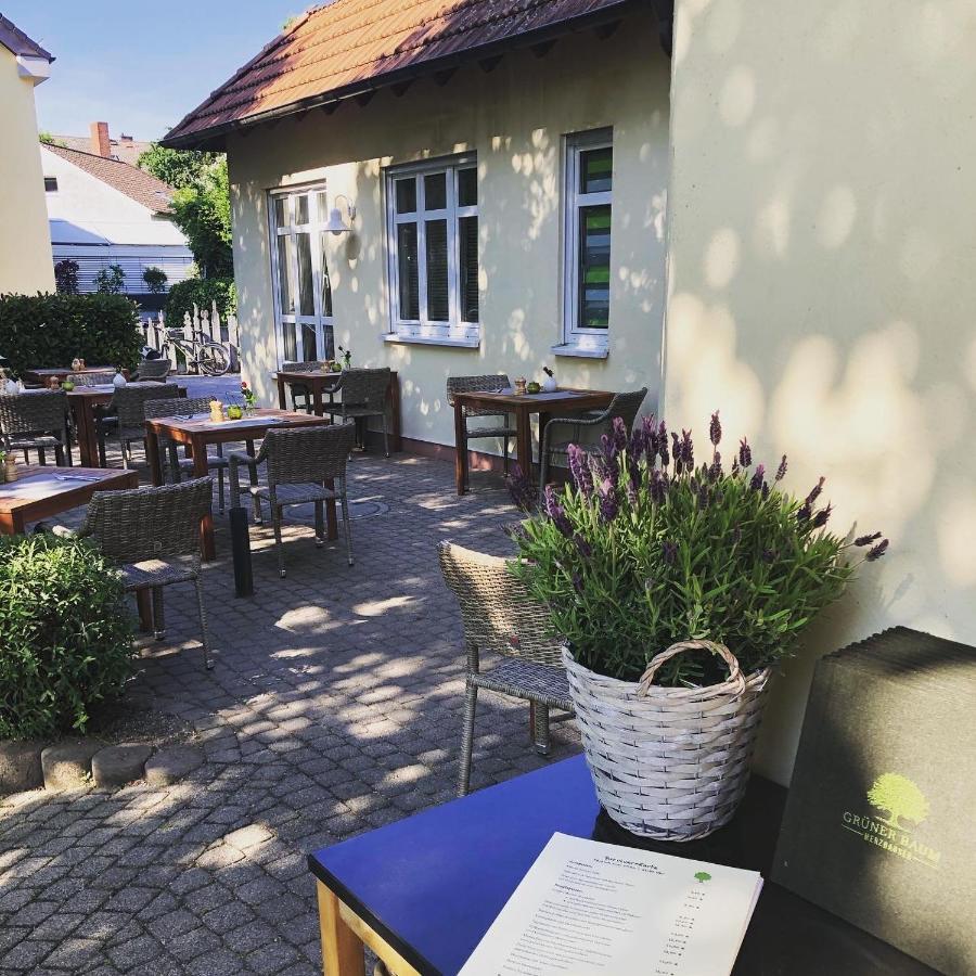 Hotel & Restaurant Gruener Baum Merzhausen エクステリア 写真